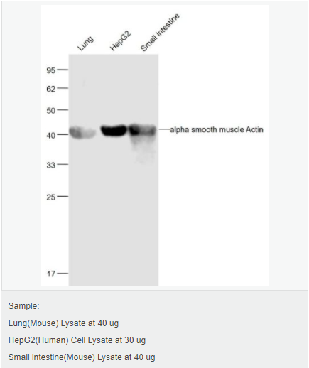 6052ae8b29ec9.png image.png