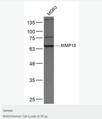 6052afb94eacd.png image.png