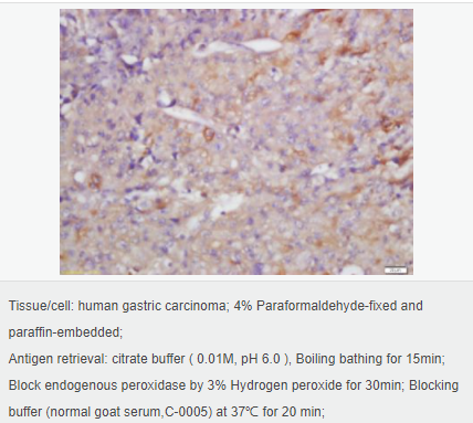 6052afc174397.png image.png