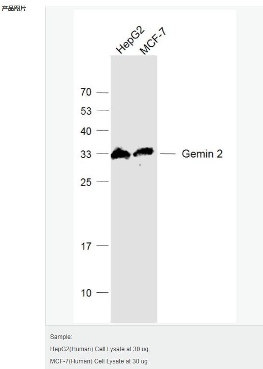 6052bb6497919.png image.png