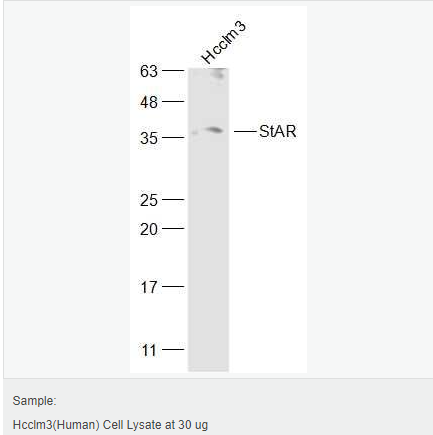 6052c0f2eb64b.png image.png