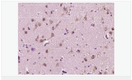 6052c27f1669e.png image.png