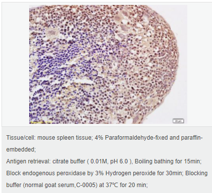 60544e0868958.png image.png