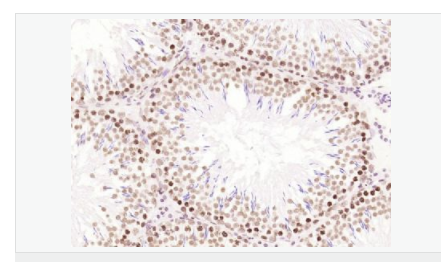 605460d31b2c4.png image.png