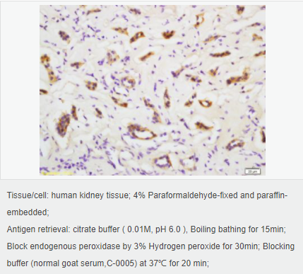 605801a35f0de.png image.png