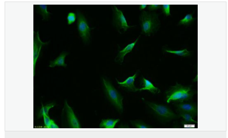 605803d7d117c.png image.png