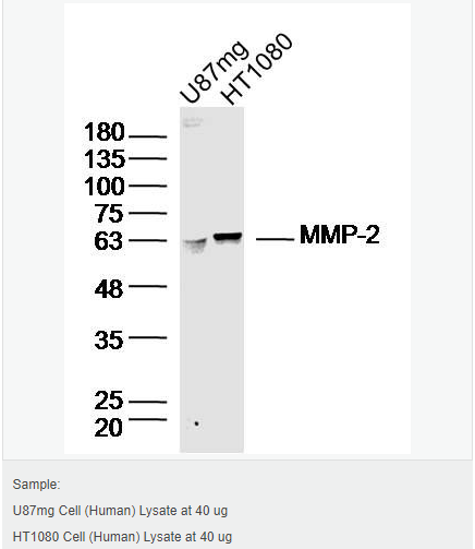 605805f9ecd94.png image.png