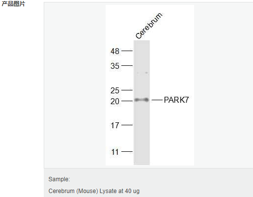 605838fb4737f.png image.png