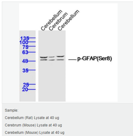 605848069f196.png image.png