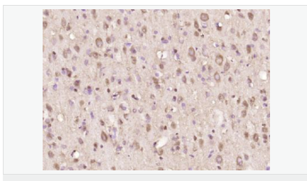 60594293164b9.png image.png