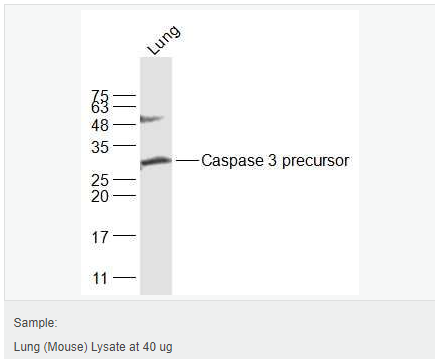 60594c0b8ba4d.png image.png