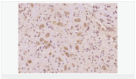 60594cc2f3b6f.png image.png