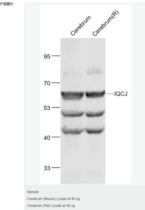 605acbc5110f4.png image.png