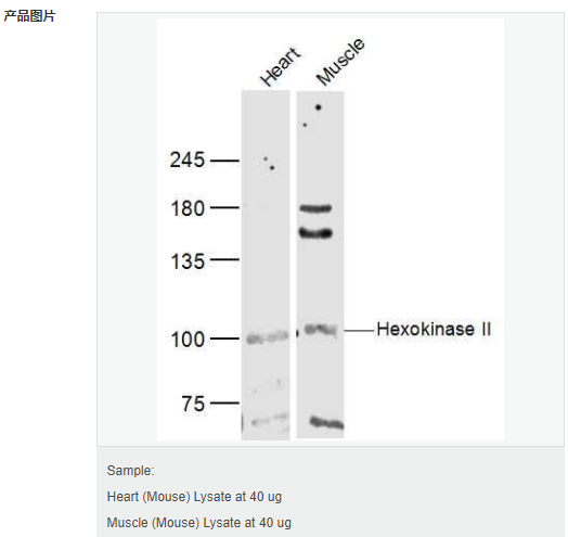 605da04617c42.png image.png