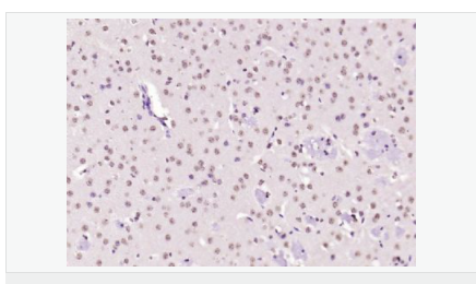 60653221a1e76.png image.png