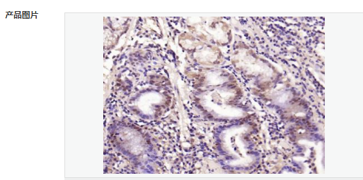 606679376ceb9.png image.png