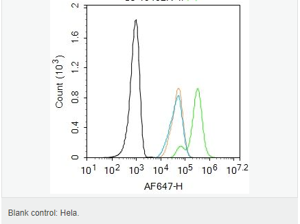 6066798f6e3c2.png image.png