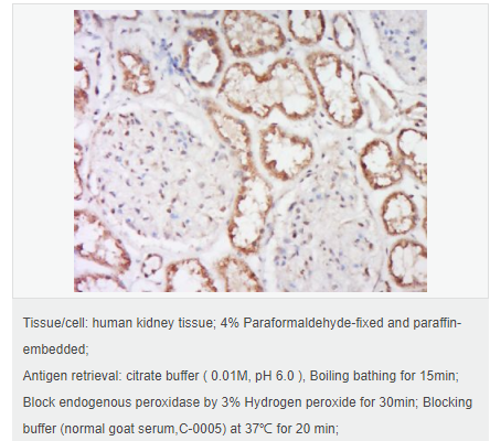 6066c52ea9f67.png image.png