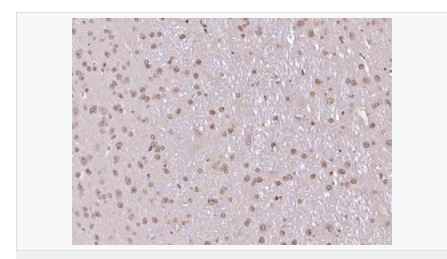 6066d49190fd8.png image.png