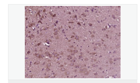 6066d5804b436.png image.png