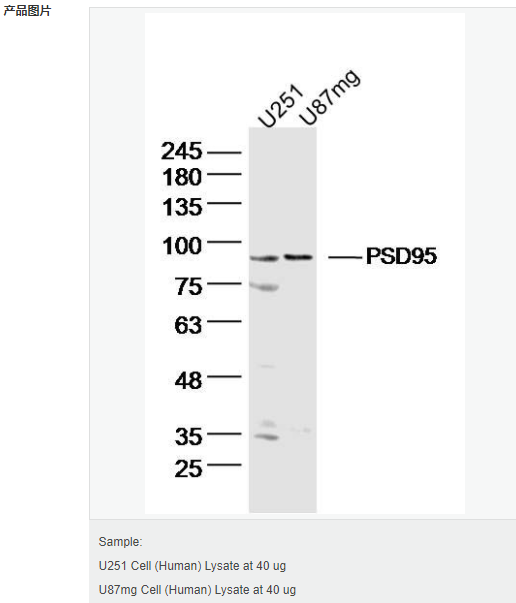 606bcbb59d2a2.png image.png