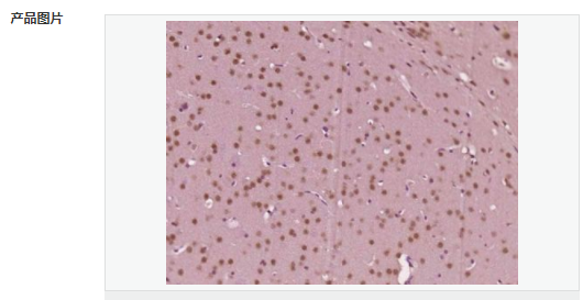 607656fcc46f8.png image.png