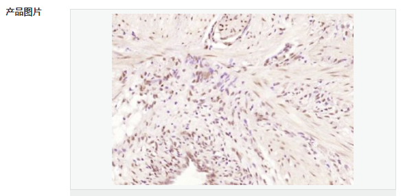 607664e289c04.png image.png