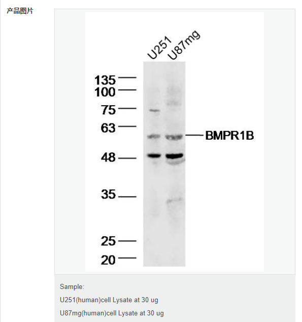 60768c60c7a3a.png image.png