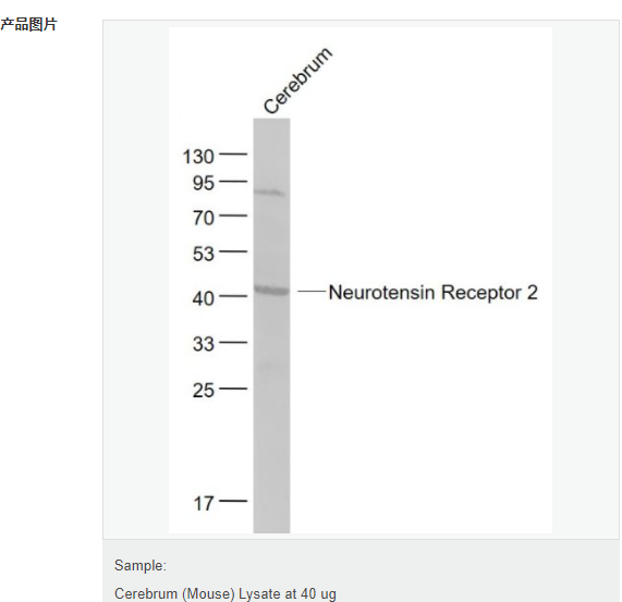 60768cab1d53e.png image.png