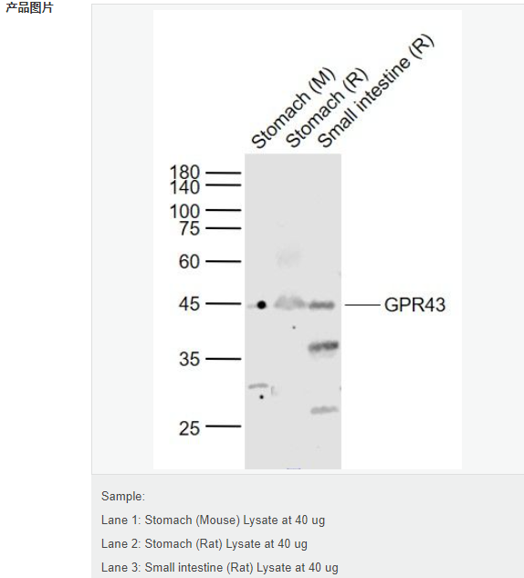 6078e82e5d2ff.png image.png