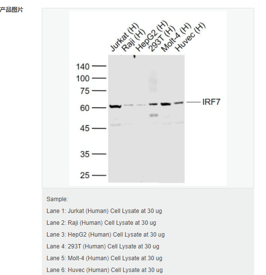 607d23077c7cc.png image.png