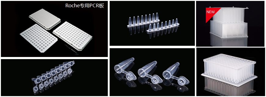 6135828edd7d4.png 6135828edd7d4.png