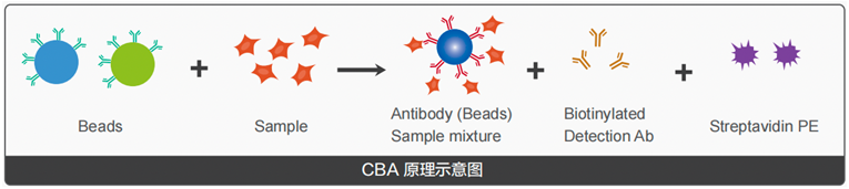 62e39aa77bc35.png 1.png