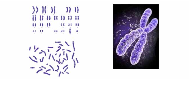 68ea10babbbeb.png image.png